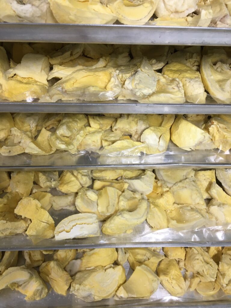 sầu riêng Ri6 sấy